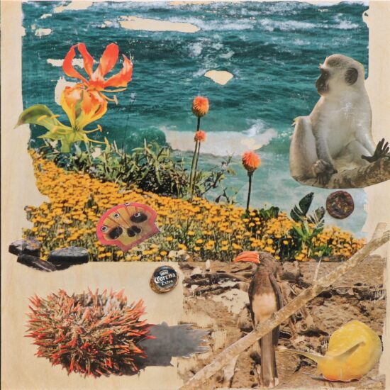 Malcomess_Pullens Bay_WildCoast